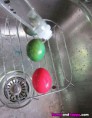 /album/krasne-barveni-vajicek/amazingly-dyed-easter-eggs-2-jpg/